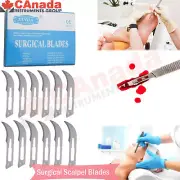 100 Pcs/Pack Dental Surgical Scalpel Sterilized Blades Knife #12