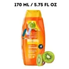 MAKARIZO KIWI 2in1 Shampoo/Conditioner Growth Thick Strengthen Hair Roots 170ml