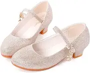 [Secret Slippers] Girls Low Heel Princess Mary Jane Party Dress Shoes - Princess Ballerina Flats for School Party Wedding, Back to School Shoes for Gilrs (Little Kid/Big Kids)