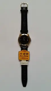 Citizen Mens Eco-Drive Watch with Leather Strap