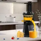 Spector Electric Cold Press Juicer Whole Fruits Vegetable Slow Masticating Ma...