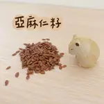 〔肚仔小食舖〕亞麻仁籽 2G/10G分裝 鼠食 天然無調味堅果 亮毛 倉鼠零食