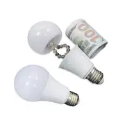 Sight Secret Light Bulb Home Diversion Stash Can Safe Container Hiding Spot ??