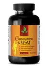 Glucosamine Chondroitin - GLUCOSAMINE CHONDROITIN & MSM - Reduce Pain 1B