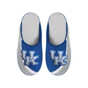 FOCO NCAA Men's Kentucky Wildcats 2022 Big Logo Color Edge Slippers