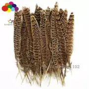 new Premium Diy 10-100PCS Natural Pheasant Tail Feathers 10-25cm/4-10inch