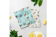 Sponge Cloths - Vintage Citrus - 2 pack - Ever Eco