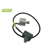 RAE Knock Sensor - K1522