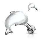 Piercing Labret Ear Dolphin Pearl