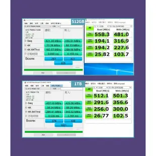 AITC 艾格 KINGSMAN FM250 1TB M.2 2280 SATA SSD 固態硬碟