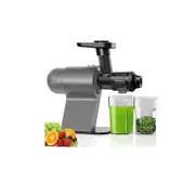 Gray Cold Press Masticating Juicer with Quiet Motor