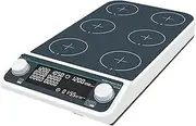 Magnetic Stirrer Mixer Multiple Magnetic Stirrer Hot Plate Digital Display Laboratory Stirrer Magnetic Mixer Heating Four-Station Six-Position Large Capacity, High Speed (Color : 1, Size :)
