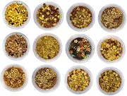 Vaguelly 12 Boxes Chic Nail Sequins Art Set of Golden Manicure Accessories for DIY Nail Designs for Home Salon Use Durable and Lightweight Manicures Ornament