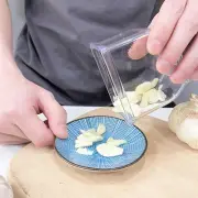 Garlic Press Slicer Practical Gadgets Easy to Use Professional Ginger Mincer