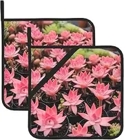 Pink Flamingo Succulent Plants Potholders BBQ Pot Holders for Heat Resistant Potholder, Hot Pads,Cooking Baking(2-Pack)