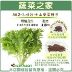 【蔬菜之家】A62-1.哇沙咪山葵菜種子(共有2種包裝可選)