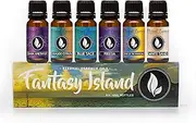 Fantasy Island - Gift Set of 6 Premium Fragrance Oils - Freesia, Dark Amethyst, Blue Sage, End of The Rainbow, White Sand, Seaside Citrus - Eternal Essence Oils