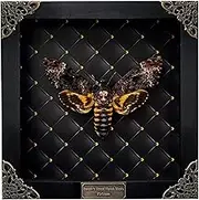 Real Framed Death Head Moth Handmade Shadow Box Skull Moth Insect Rhombus Frame Unique Taxidermy Collectables Tabletop Wall Art Decoration Artwork Home Decor Living Reading Gallery K18-01-NEM