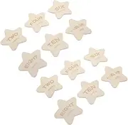 BIUDECO Double-Sided Wooden Star Milestone Cards Monthly Milestone Markers Photo Prop Discs Birth Announcement Shower