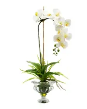 Creative Displays White Orchid With Fern Floral Arrangement