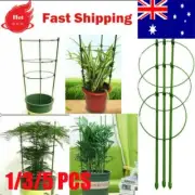 Adjustable Steel Tomato Plant Cage Plant Trainer Vege Climbing Trellis Support T