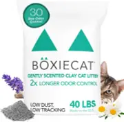 Boxie® Gently Scented 30 Day Natural Odor Control Cat Litter, 40Lb Clumping Clay