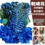 【A-ONE】DIY天然乾燥花 矢車菊藍 永生花材料包 綜合乾燥花盒 香薰蠟燭 香氛片材料 植物果實 B04