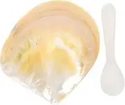 Happyyami 2 Sets Caviar Serving Dish Natural Shell Boho Home Décor Mini Caviar Holder Fish Tank Accessory