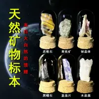 在飛比找樂天市場購物網優惠-天然水晶原石礦物標本石兒童科普教學禮物標本盒擺件彩色石頭辦公