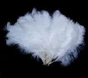 35-40 cm ostrich Feathers wedding decoration 200 pcs white