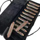EASTTOP PRO10 Diatonic Blues Harmonica Set wood comb Harmonica set for 12 keys