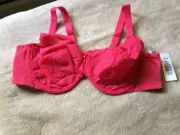 Goddess Rose 48DD Cherry Lace Underwire Bra Style 6081 Nwt