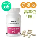 【佳醫】SALVIA高單位補「鐵」膠囊*6瓶(60顆/瓶含鐵+葉酸+C+B12 四合一最佳補鐵營養品)