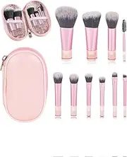 Travel Makeup Brush Set, 10 Pcs Easy-taken Travel Mini Cosmetic Brushes Kit, Complete Function Makeup Tools For Foundation, Blush, Contour, Eyeshadow, Powder (Pink)
