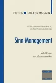 Sinn-Management: Mehr Effizienz durch Zusammenwirken by Stefan Oefner-Py (German