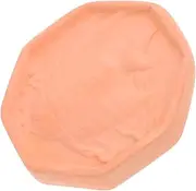 Alipis Terracotta Sugar Softener for Food Storage Decorative Fish Pattern Sugar Saver for Jars Reusable Home Restaurant Friendly