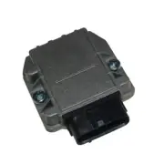 Ignition Module T036 Regitar USA
