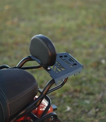 Back Carrier With Backrest Fit for TVS RONIN