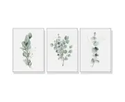 Eucalyptus Plant 3 sets White Frame Canvas