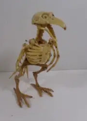 Skeleton Vulture Halloween Decoration BeIge Poseable 7" tall x 3" wide CREEPY