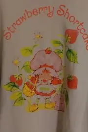 Strawberry Shortcake pink sweatshirt