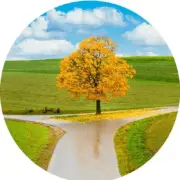 QPuzzles 750 Piece Round Jigsaw Puzzle - Decisions