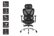 Ergolux Pro Ergonomic Mesh Office Chair with Footrest (Black)