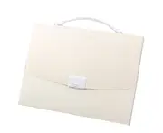 Pocket Portable Expanding File Folders, Accordion File Document Organizer with dividers