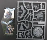Warhammer Age of Sigmar Stormcast Eternals Vanguard-Raptor Shakana Goldenblade