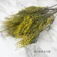 在飛比找松果購物優惠-進口乾燥金合歡-不凋花/乾燥花 乾燥花束 不凋花 拍照道具 