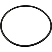 39200300 Pentair Volute O-Ring Eagle Pump O330