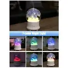 Preserved Flower Diffuser 100mL Mist Humidifier 7-color Night Light 4 AU