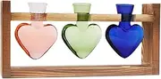 Hydroponic Planter | Heart Shape Plant Terrarium Propagation Station | Tabletop Planter with Wooden Stand, Garden Decor Terrarium, Hydroponics Home Decoration
