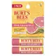 BURT'S BEES 小蜜蜂爺爺 護唇膏